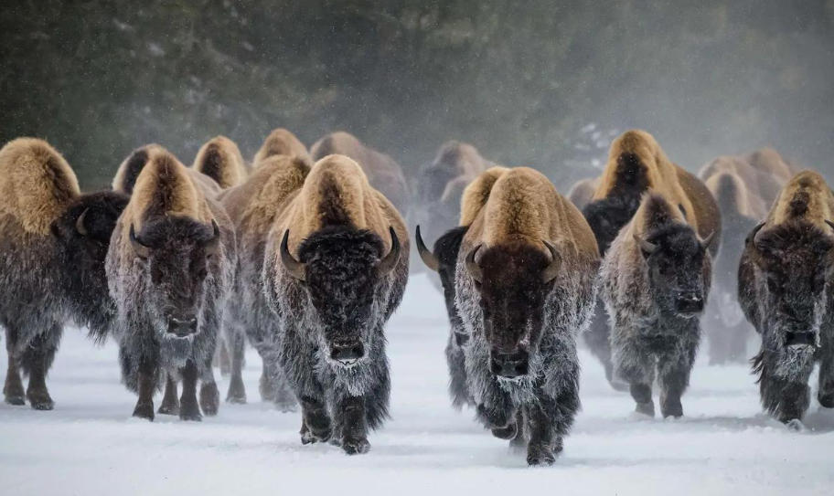 云南鑫嘉泽安商贸有限公司轮播图1